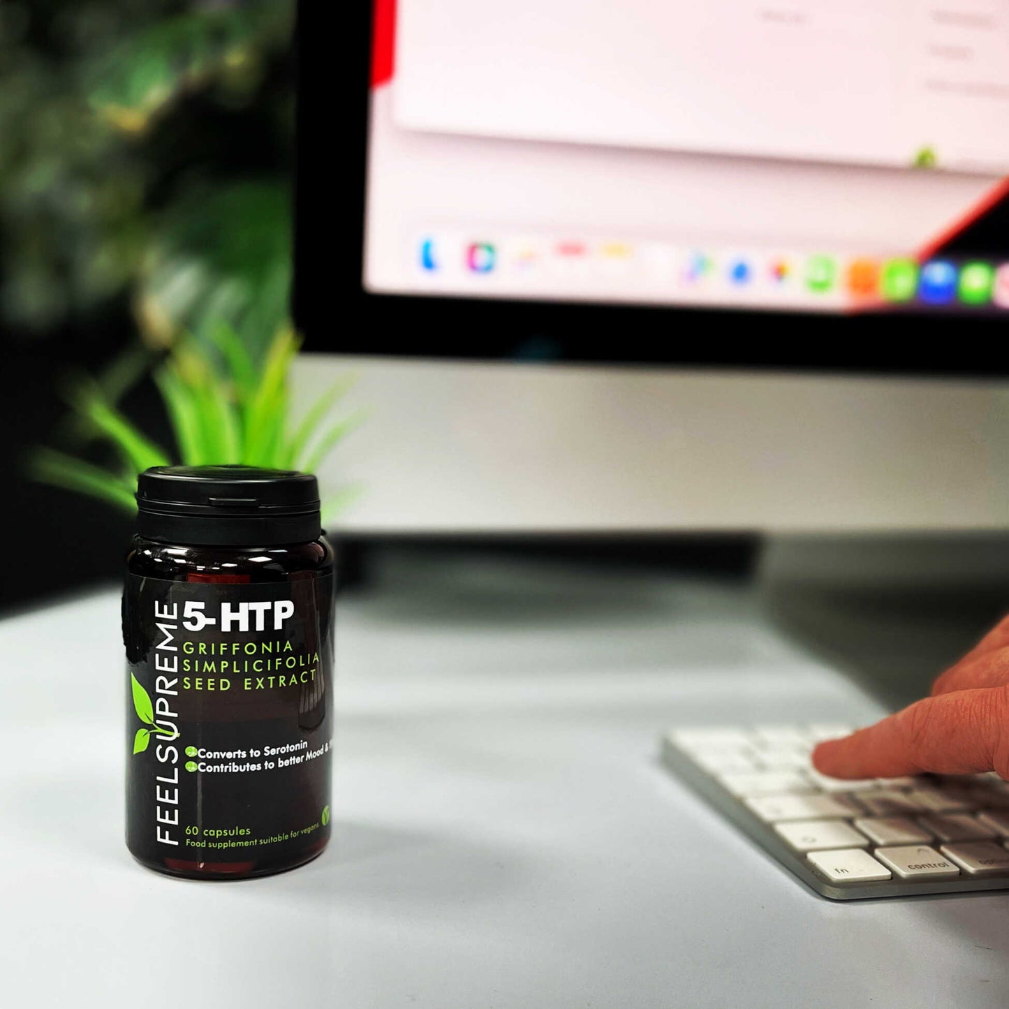 5HTP | Griffonia simplicifolia extract