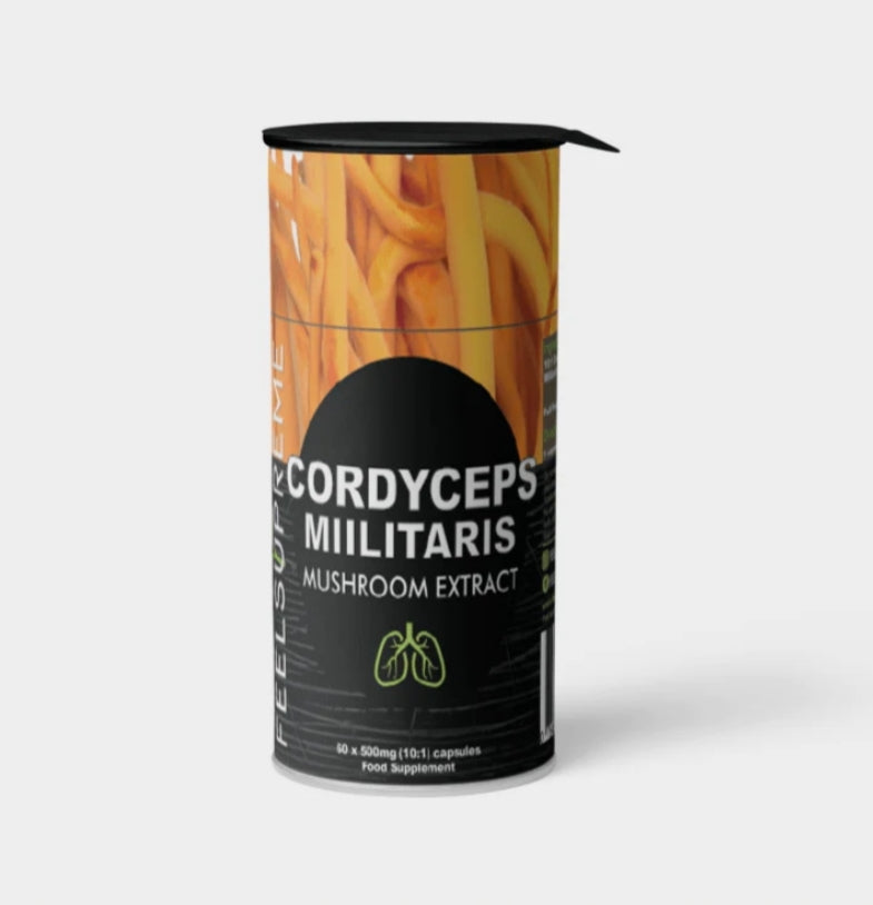 Cordyceps Militaris – 60 capsules