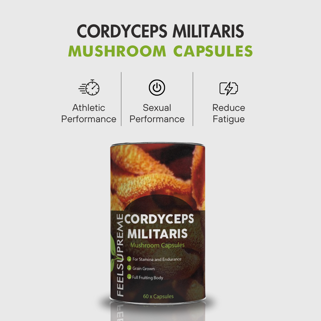 Cordyceps Militaris Capsules