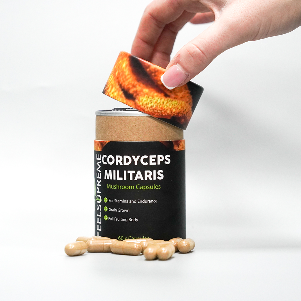 Cordyceps Militaris Capsules